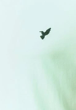 Réduction Pier One T-shirt basique t-shirts col rond homme -Promos Pier One Boutique aa75eabb00fe4d03a62c6a634ae2c33e