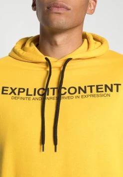 Pier One Sweat à capuche Petit Prix pulls et gilets unisex -Promos Pier One Boutique b8cbb614fdc04e7a8ff4432dcc2e6ff3